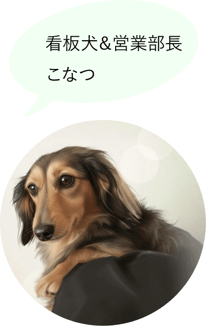 看板犬こなつ